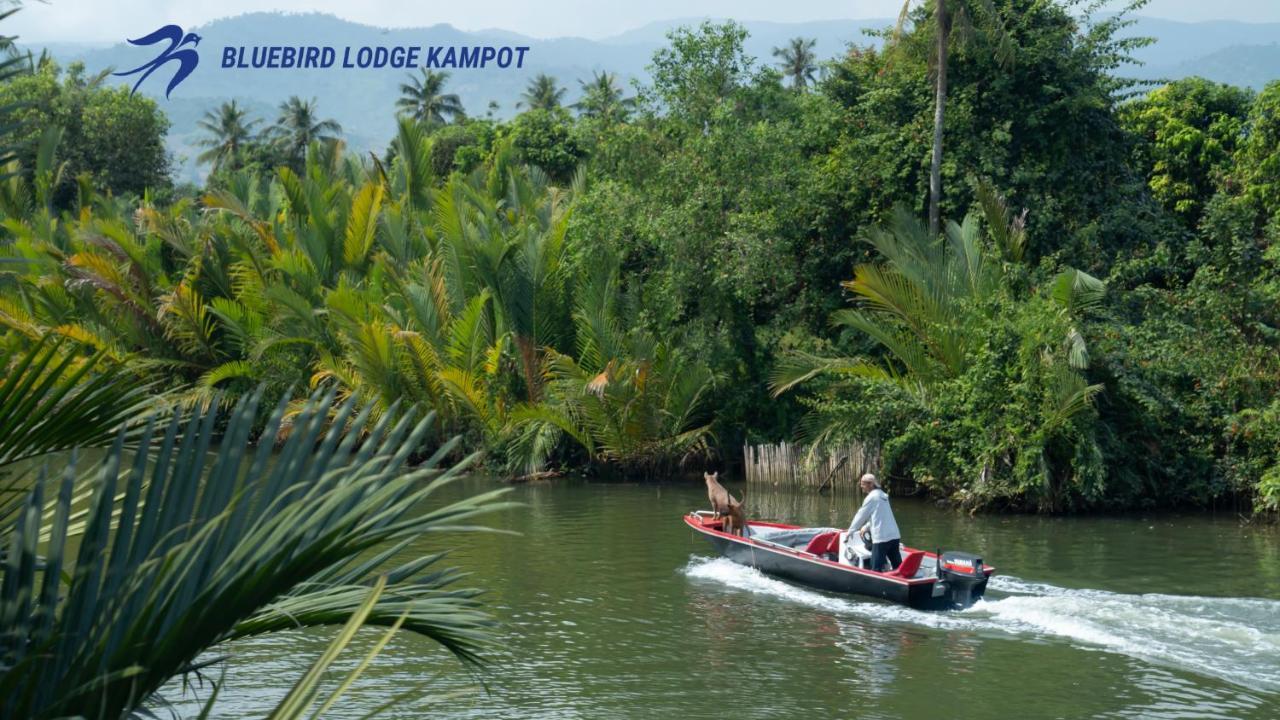 Bluebird Lodge Kampot Exterior photo